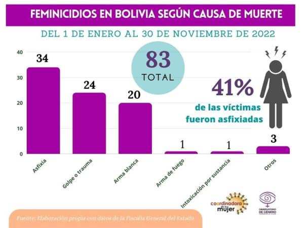 En Bolivia se registran 83  feminicidios y 35 infanticidios