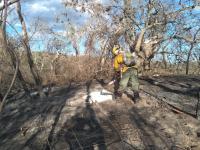 Bomberos combaten el fuego  en Roboré y Queremba Iyambae