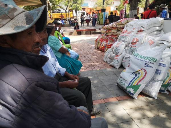 Cinco municipios de Tarija reciben alimentos