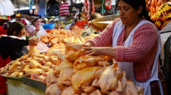 Avicultores anuncian incremento en el precio de la carne de pollo