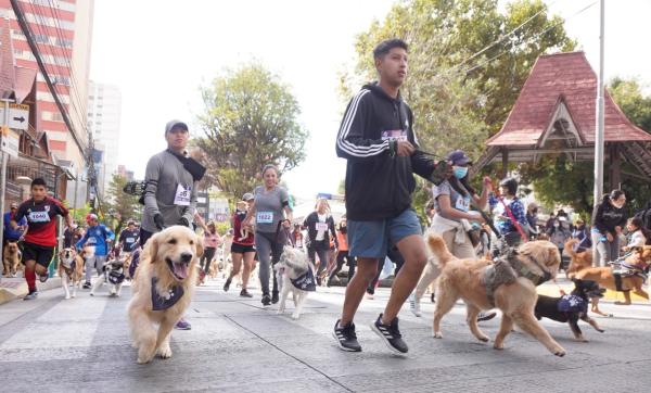 Más de 200 canes participaron  en la quinta versión del Perrotón