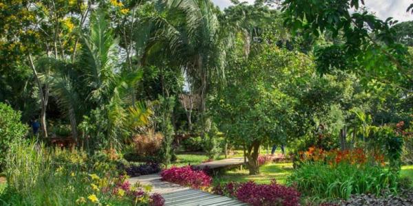 Avasallan predio municipal que  colinda con el Jardín Botánico