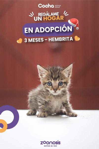 Feria de Salud y Adopción de mascotas en Cochabamba