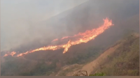 Incendio amenaza a cuatro comunidades en Irupana