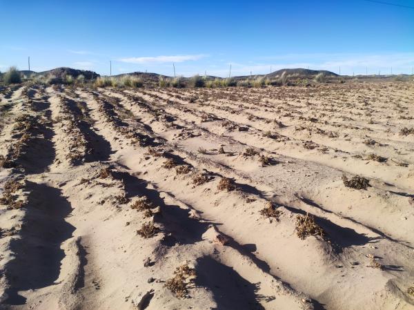 En Potosí preveen llegar a  sanear un 96% de tierras