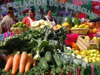 Reubican e inauguran feria de  frutas y verduras en Santiago I