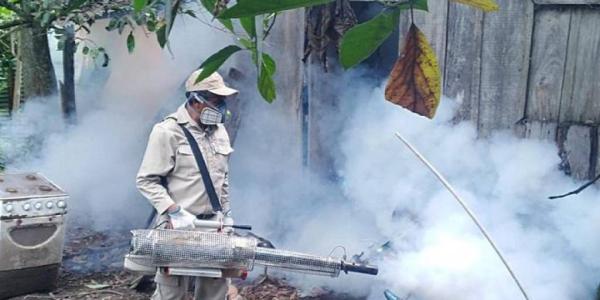 Alerta roja por epidemia  de dengue en Santa Cruz