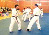 Karate abre su temporada con el Nacional Open