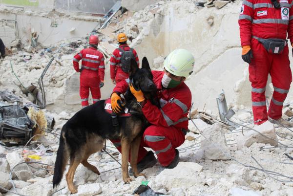 Suben a más de 33.000 los  fallecidos por terremotos