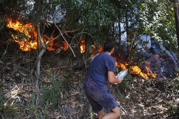 Chile informa que hay 77  incendios no controlados