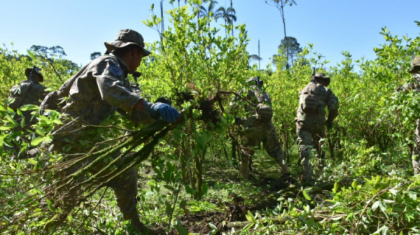 Cocaleros de los Yungas en vigilia y  rechazan racionalización en Chamaca