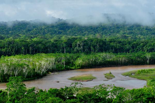 Alemania destinará 15 millones de euros para Amazonia boliviana