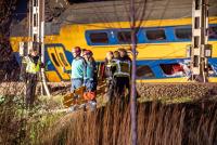 Un muerto y decenas de heridos por  accidente de trenes en Países Bajos