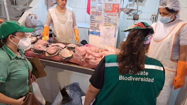 Realizan operativos contra  la venta de carne silvestre