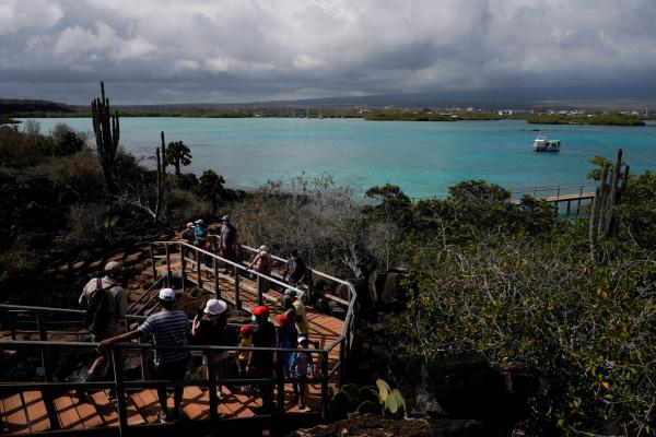 Ecuador descubre nuevo arrecife  de coral prístino en Islas Galápagos