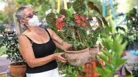 Feria de Plantas se realiza en el Jardín Botánico