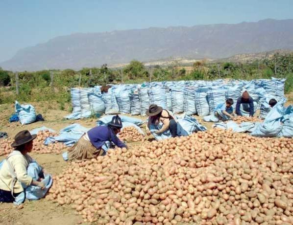 Solicitan aplicar «shock económico» mientras el Gobierno se desespera por la Ley del Oro