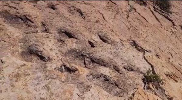 Hallan huellas de dinosaurios  cerca del cerro Condoriri