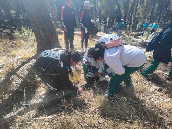 Dos ciudades de Bolivia destacan en su compromiso con la biodiversidad