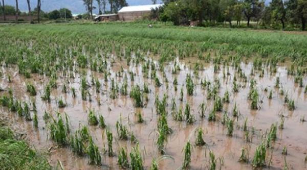 54 municipios fueron afectados por lluvias que aún persistirán