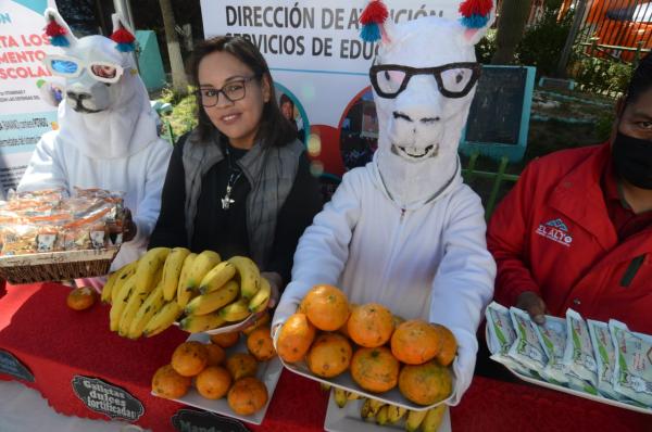 Dan frutas de temporada en alimento complementario para evitar resfríos