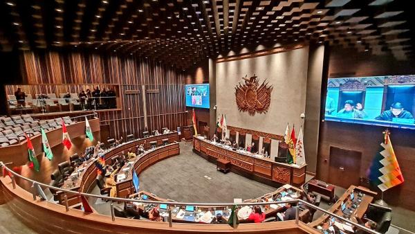 Senado sanciona ley corta  para elecciones judiciales