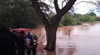 Lluvias causan pérdida de 45.000 hectáreas de trigo