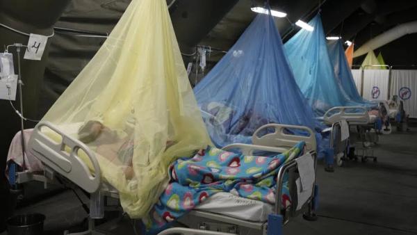 Más de 30 niños muertos y casi 46.000  infectados en el mayor brote de dengue