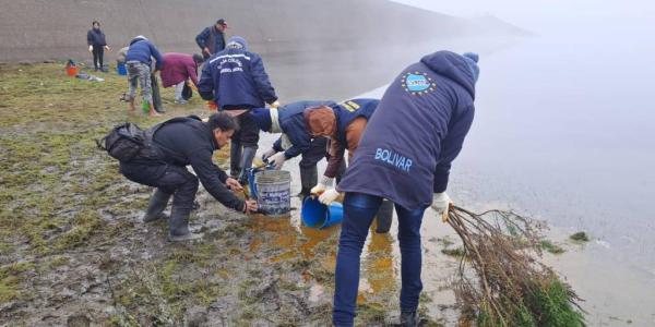 Intentan sacar aceite que  cayó sobre laguna Corani