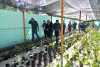 Vivero forestal en Pura Pura producirá  entre 25 a 30 mil plantines cada año