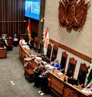 Comisión del Senado investigará  denuncias por casos de pederastia