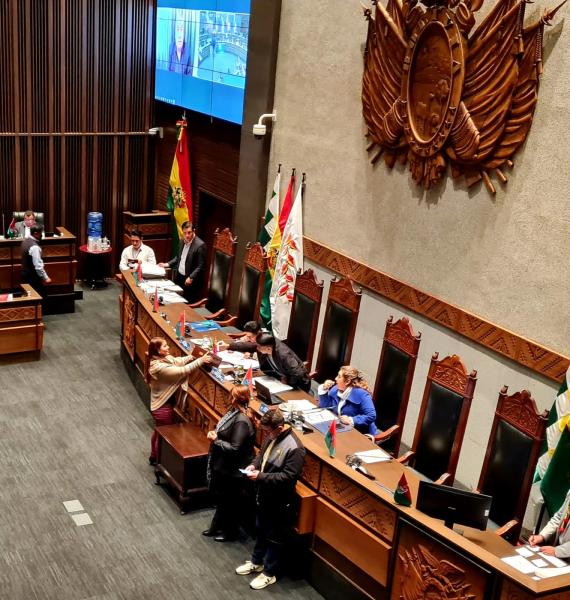 Comisión del Senado investigará  denuncias por casos de pederastia