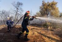 Más de 500 bomberos griegos se  enfrentan a cuatro incendios forestales