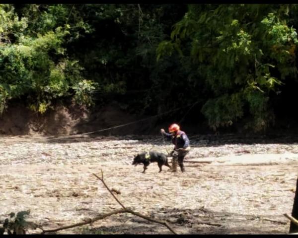 Bomberos voluntarios detrás del  rescate de personas extraviadas