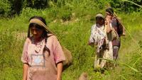 Exigen al INRA reconocer  al pueblo tsimane de Yacuma