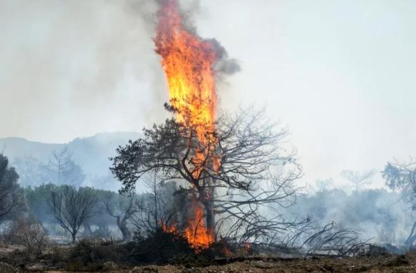 Reportan al menos 35 muertos por ola de calor e incendios en el Mediterráneo