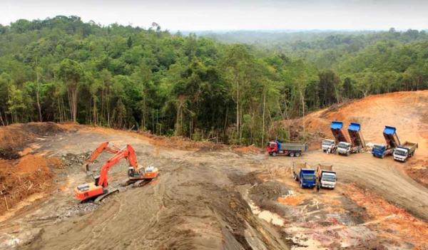 La amazonia brasileña enfrenta  cambio climático y deforestación