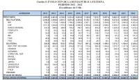 Préstamos internos al TGN  superan los $us 1.200 millones