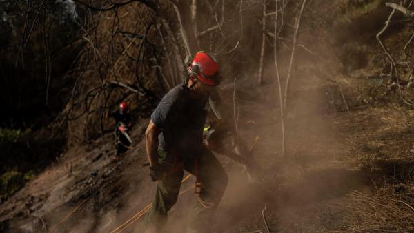 Suben a 106 los fallecidos  por los incendios en Hawai