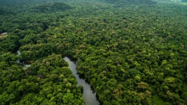 Plantean crear fuerza pública especial contra minería ilegal