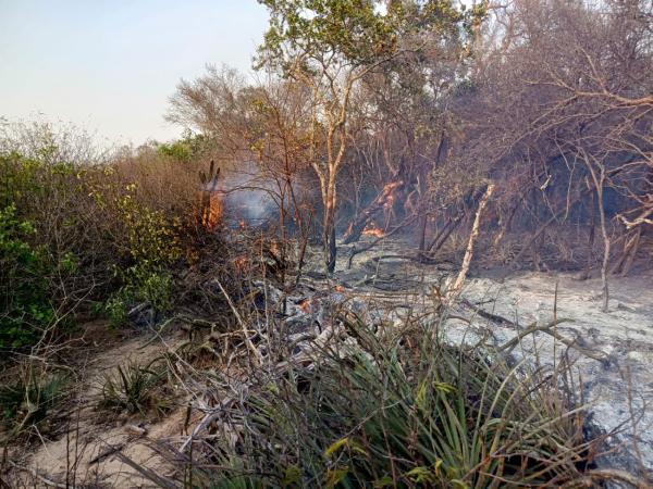 Bomberos continúan trabajando  para liquidar el fuego en Kaa-Iya