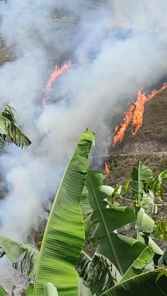 Chicaloma clama ayuda  para apagar incendio