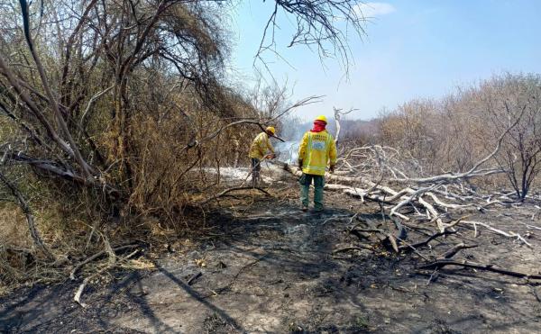 Incendio en el Parque Kaa-Iya  está en etapa de liquidación