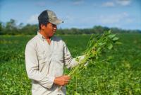 Soyeros elevarán productividad sin expandir la frontera agrícola