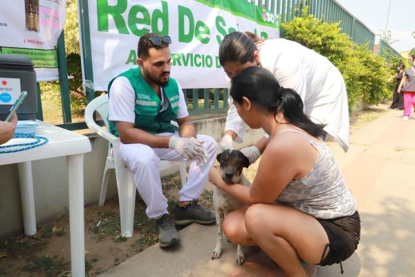 Vacunarán contra rabia canina en plazas, parques y colegios