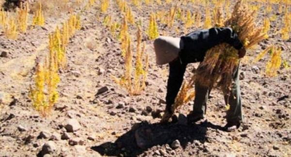 Urge viabilizar Ley Nacional de Emergencia Climática