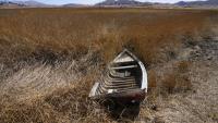 Sequía del lago Titicaca pone en riesgo siembra de productos y alimento de animales