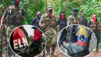 Nueve muertos y cinco heridos en  operativos contra las FARC y ELN