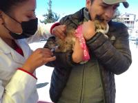 Población acude para vacunar a sus perros y gatos contra la rabia