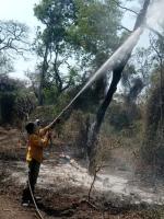 Persisten incendios forestales en municipios, a pesar de la lluvia